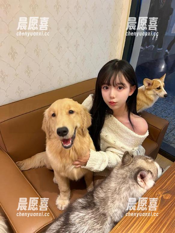 吃瓜大本营 瓜多有趣:在“吃瓜大本营”里追剧的日子