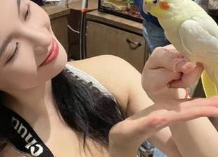 更新神迅速，黑瓜吃料的瓜总是新鲜又让人心动？