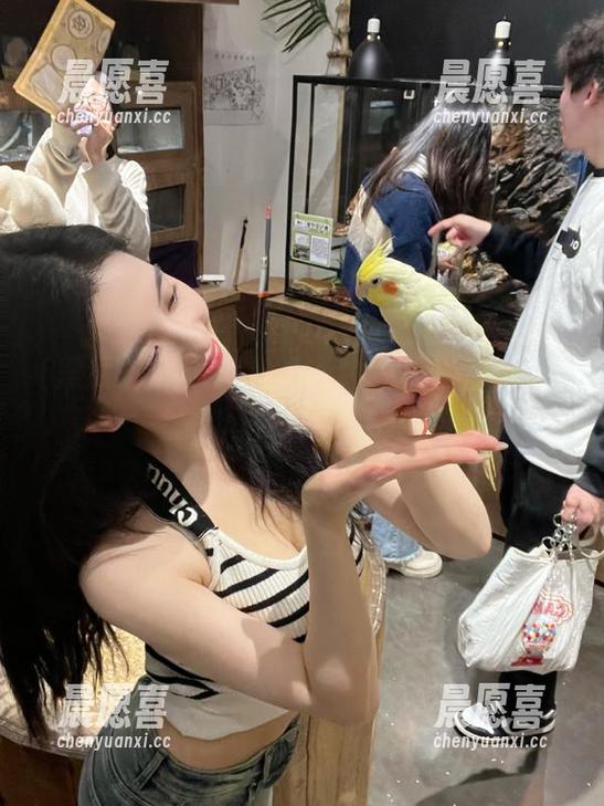 黑瓜吃料 更新神迅速,黑瓜吃料的瓜总是新鲜又让人心动?